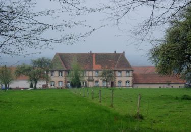 Trail On foot Lengelsheim - Anneau vert - Photo