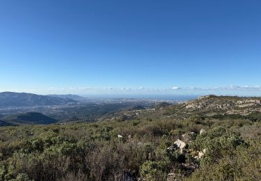 Randonnée Marche Marseille - La Treille - Allauch - Photo