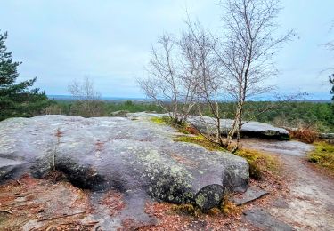 Tour Wandern Fontainebleau - Boucle Barbizon - Arbonne 26 km - Photo