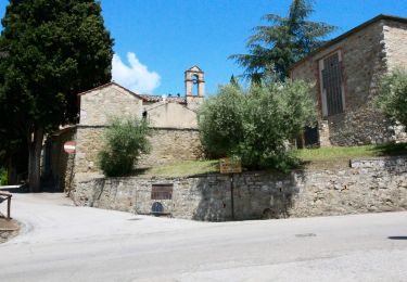 Excursión A pie Passignano sul Trasimeno - Passignano - Poggio Belveduto - Photo