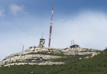 Excursión Senderismo Marsella - Boucle chaine de l’etoile - Photo