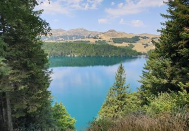 Tour Wandern Besse-et-Saint-Anastaise - Le tour du Lac Pavin et montée au Puy Montchal - Photo