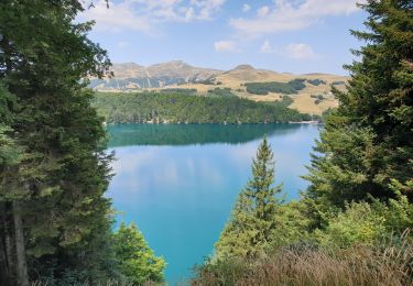 Percorso Marcia Besse-et-Saint-Anastaise - Le tour du Lac Pavin et montée au Puy Montchal - Photo