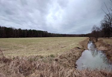 Trail On foot Torgau - Pflückuff-Benkenteich - Photo