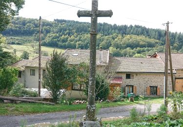 Tocht Te voet Saint-Martin-des-Olmes - Saint Martin Des Olmes - Photo