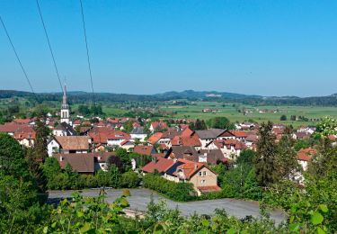 Tocht Stappen Damprichard - Les Combes - boucle 85 - Photo