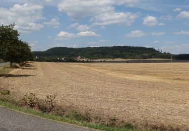 Randonnée A pied Konstantinovy Lázně - NS Hradišťský vrch - Photo