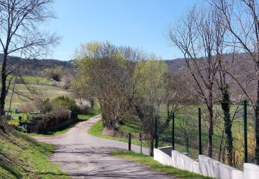 Tour Wandern Prompsat - SENTIER DES 3 CLOCHERS - Photo