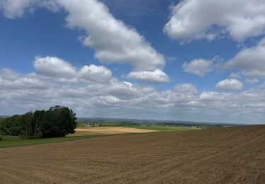 Tocht Stappen Aarlen - Balisage GR 15 Guirsch -Tontelange - Photo