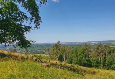 Tour Wandern Durbuy - Le sentier botanique du mont des Pins - Photo