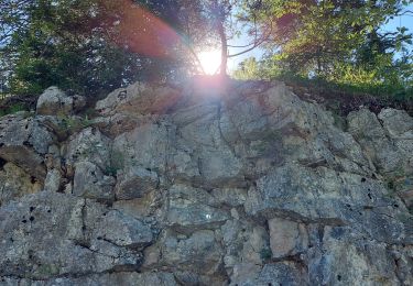 Excursión Senderismo Bellefontaine - Dans la forêt du Risoux - Photo