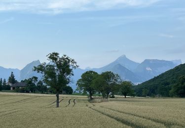 Trail Walking Claix - Colline de Comboire - Photo
