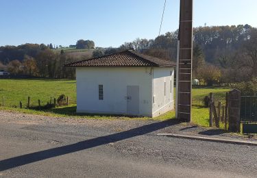 Trail On foot Saint-Pierre-de-Chignac - Boucle de la Chapelle - Photo