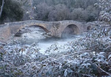 Percorso Marcia Vins-sur-Caramy - Vins sur Caramy-12-01-22 - Photo