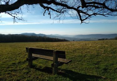 Trail Walking Quingey - Quingey Montfort 21 janv 2020 CAF - Photo