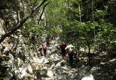 Excursión A pie  - Potkilvac - Zapodi-Halić - Photo