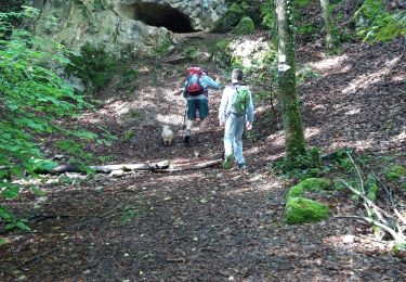 Trail Walking Sentheim - Sentheim Saegekopfhutte - Photo