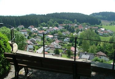 Tocht Te voet Bodnegg - Rundwanderweg 2 der Gemeinde Bodnegg - Photo