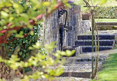 Tour Wandern Nassogne - Ambly  - Balade pédestre - Roadbook Famenne-Ardenne - Photo