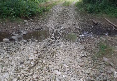 Excursión Bicicleta híbrida Marnay-sur-Seine - Marnay bis - Photo