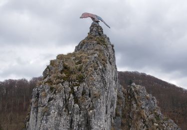 Tour Zu Fuß Bad Grund - Herbstlaubweg - Photo