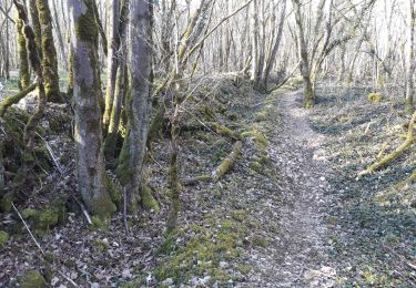 Randonnée V.T.T. Chaumont - Confinement - 10km - Photo