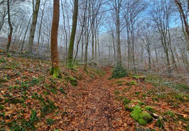 Tour Wandern Profondeville - Balade de la Pierre à L'Image - Profondeville - Photo