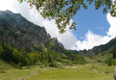 Tocht Te voet Gemeinde Walchsee - Schlechinger Wanderweg 84 - Photo