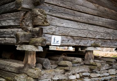 Excursión A pie Formazza - (SI E62) Rifugio Eugenio Margaroli all'Alpe Vannino - Bosco Gurin - Photo