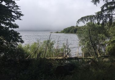 Trail Walking Fraisse-sur-Agout - Tour du lac de Vesoles - Photo