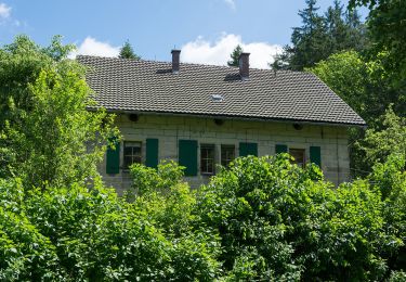 Percorso A piedi Wallenfels - Höhenweg - Photo