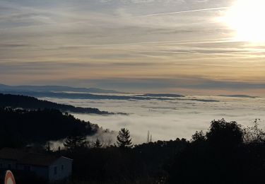 Tocht Stappen Montfuron - Montfuron à Villemus, variante.  - Photo