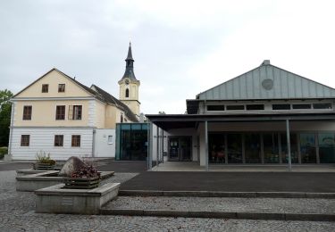 Excursión A pie Wilhering - Sternweg Dörnbach-Linde - Photo