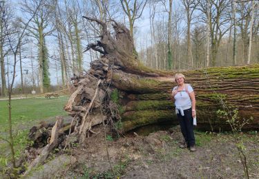 Tocht Stappen Boult-aux-Bois - Projet AA Boult aux bois 