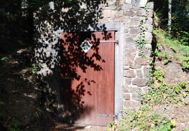 Percorso Marcia Saint-Hubert - mirwart - Photo