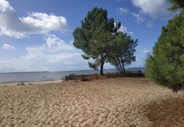 Trail Walking Andernos-les-Bains - Andernos -ARES - Photo