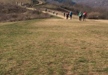 Excursión Senderismo Saint-Étienne-la-Varenne - Saint-Etienne-La-Varenne 17 km-D. 703 m - Photo