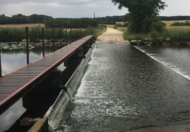 Excursión Senderismo Saint-Maur-sur-le-Loir - Saint Maur sur le Loir - Photo