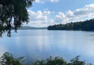 Trail Electric bike Montsauche-les-Settons - Lac du settons dans le Morvan - Photo