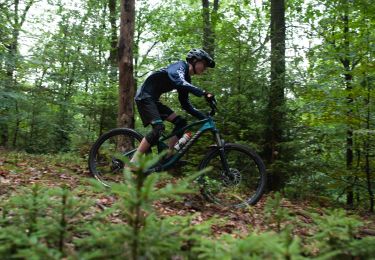 Percorso Mountainbike Virton - Virton VI24 - Photo