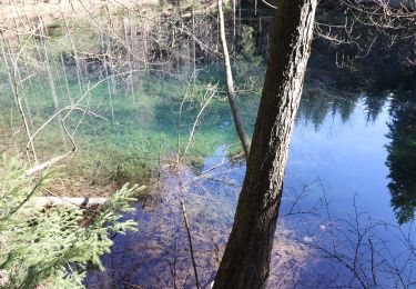 Tocht Te voet Lößnitz - Wanderweg Lößnitz - Lauter - Photo