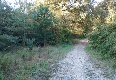 Trail Walking Canéjan - clés du jardin  - Photo