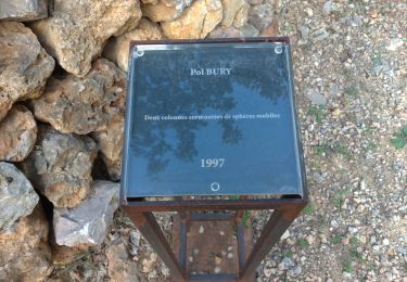 Trail Walking Flassans-sur-Issole - Peyrassol - Photo