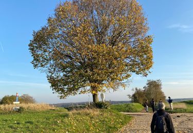 Randonnée Marche Huldenberg - Loombeek Lefdaal  - Photo