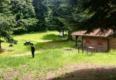 Tour Wandern Markirch - 2020-06-20 Marche Tete du Violu Col de Ste Marie - Photo