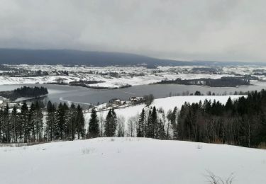 Percorso Racchette da neve Grande-Rivière-Château - Lac de l'Abbaye (Sur le Cousset)- Belvédère du Moulin 4km 20230105 - Photo