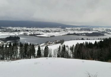 Tocht Sneeuwschoenen Grande-Rivière-Château - 20230105 - Photo