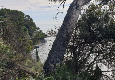 Trail Walking Toulon - Tour royale à Monaco 13 Novembre 2021 - Photo