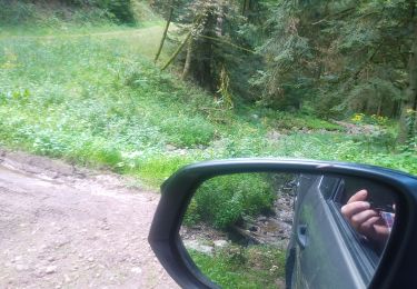 Trail 4x4 Fraize - 05/09/21A - Photo