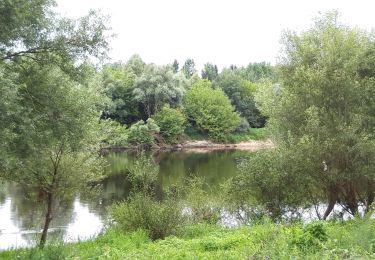 Trail Walking Beaumont-en-Véron - Beaumont en véron - Photo